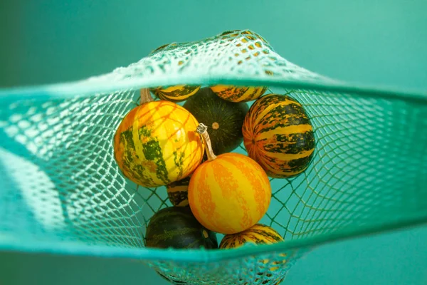 Mehrere Gelbe Herbstkürbisse Liegen Einer Einkaufstasche Auf Grünem Minzgrund — Stockfoto