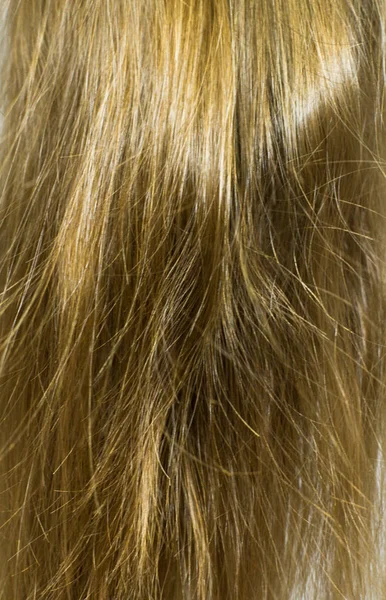 Healthy Blond Hair Close View — 스톡 사진