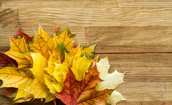 Bouquet Autumn Bright Leaves Wooden Table Beautiful Autumn Background — Stock Photo, Image