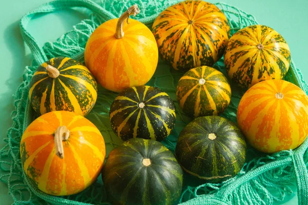 Varias Calabazas Amarillas Otoño Encuentran Una Bolsa Compras Sobre Fondo —  Fotos de Stock