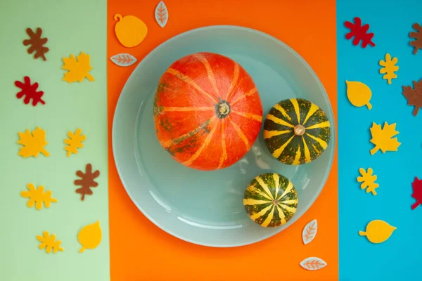 Dekoratif, güzel, parlak balkabakları üç renk kağıdının üzerinde - turuncu, mavi ve yeşil. Kağıt, sonbahar yapraklarını bir tabağın etrafında balkabağıyla keser..