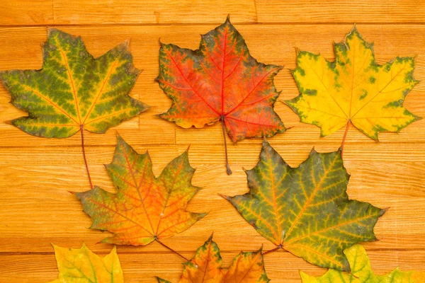 Яркие Осенние Листья Деревянном Столе Красивый Фон Пустое Место Надписей — стоковое фото
