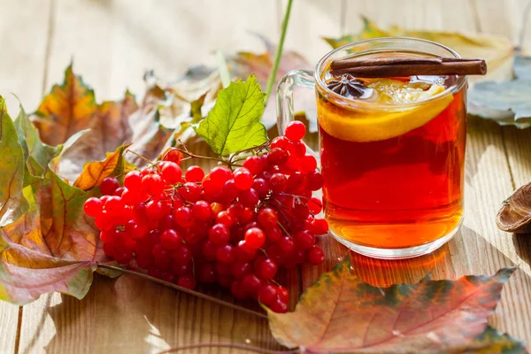 Viburnum Forró Tea Naranccsal Ánizzsal Fahéjjal Őszi Levelekkel Asztalon — Stock Fotó