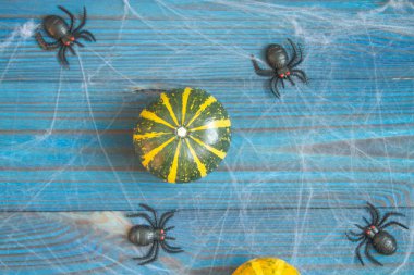 Küçük dekoratif balkabakları ahşap mavi arka planda yatar. Örümcekler ve örümcek ağları Cadılar Bayramı için bir kompozisyon oluşturur.