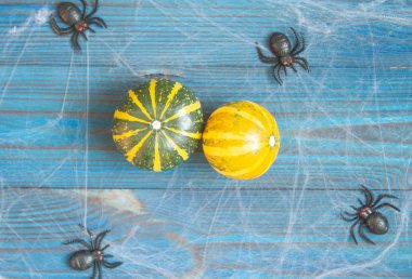 Küçük dekoratif balkabakları ahşap mavi arka planda yatar. Örümcekler ve örümcek ağları Cadılar Bayramı için bir kompozisyon oluşturur.