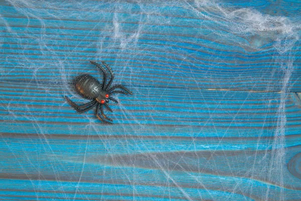 Spider Zit Een Web Samenstelling Voor Halloween Een Spinnenweb Uitgerekt — Stockfoto