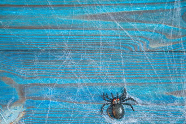 Spider Sienta Una Telaraña Composición Para Halloween Una Tela Araña — Foto de Stock