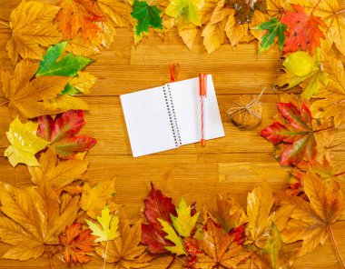 Sonbahar yapraklarının çerçevesi. Tahta masaya yazmak için kalemli not defteri..