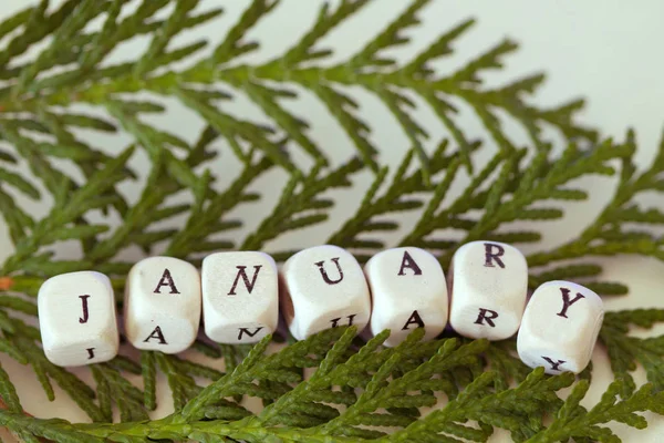 Noel ağacının bir dalındaki küplerin 