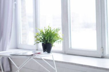  Pencerenin pervazında yeşil bitkiler