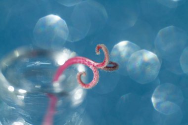 Bokeh ışığı ve bitkisi olan soyut arkaplan