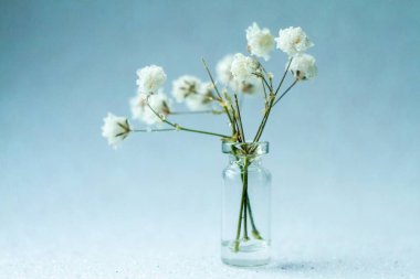 Çiçek açan bahar buketi masada, yakın plan.