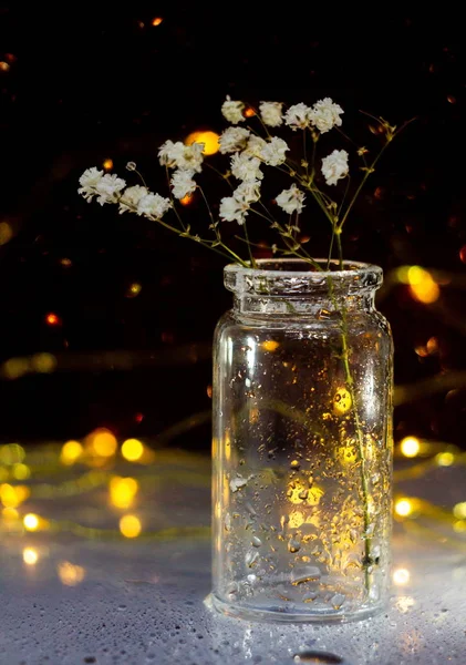 Скляна Банка Квітковою Гілкою Боке Світлом — стокове фото