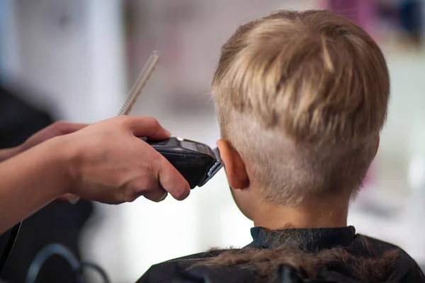 Little Cute Boy Sits Hairdresser Stylist Schoolchild Getting Hair Cut — Stock Photo, Image