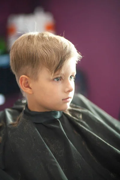 Little Cute Boy Sits Hairdresser Stylist Schoolchild Getting Hair Cut — Stock Photo, Image