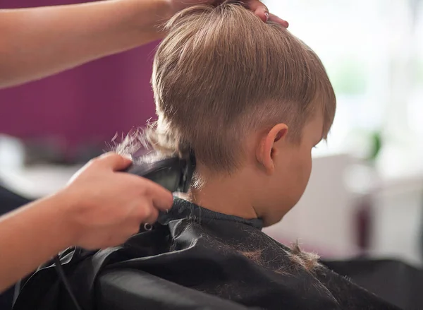 Little Cute Boy Sits Hairdresser Stylist Schoolchild Getting Hair Cut — Stock Photo, Image