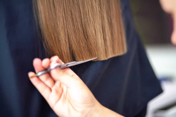 Hairdresser cuts long blond hair, beauty salon, women's hair care