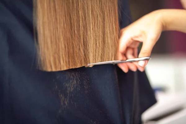 Kadeřník Stříhá Dlouhé Blond Vlasy Kosmetický Salon Péče Vlasy — Stock fotografie