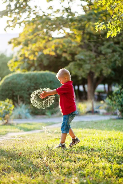 Menino Bonito Com Síndrome Brinca Com Enormes Bolhas Sabão Parque — Fotografia de Stock