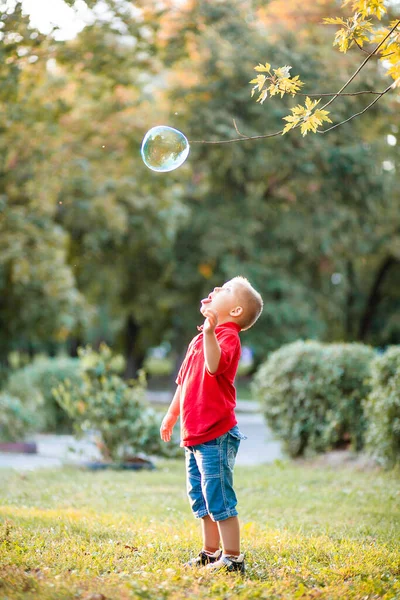 Μικρό Χαριτωμένο Αγόρι Σύνδρομο Παίζει Τεράστιες Σαπουνόφουσκες Στο Πάρκο Ένα — Φωτογραφία Αρχείου