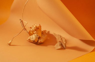 Turuncu ve kahverengi kağıt, güzel yumuşak ışık ve kağıt üzerindeki gölge, soyut arkaplan