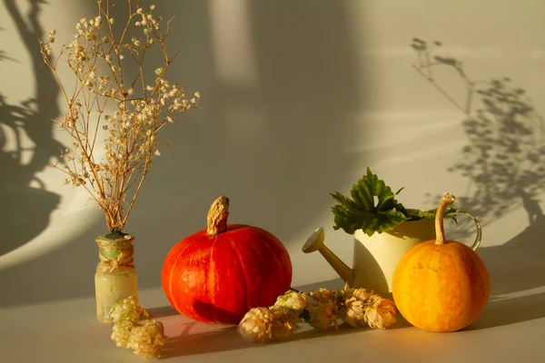 Kleurrijke Pompoenen Gelukkig Halloween Concept — Stockfoto