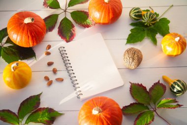 Balkabaklarıyla güzel bir daire ve metin için not defteri, kuru yapraklar, sonbahar kompozisyonu, Cadılar Bayramı.