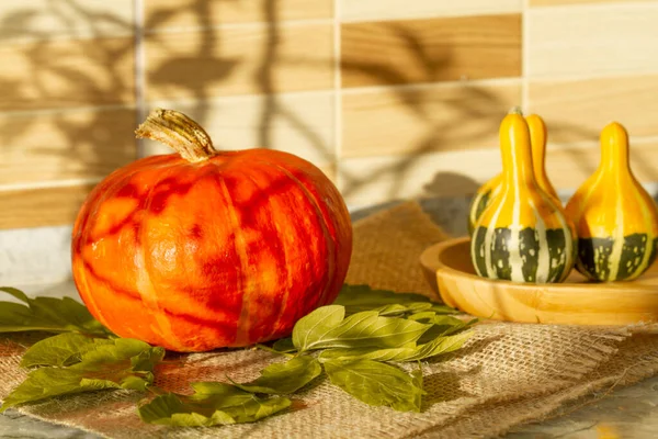 Herbstkomposition Mit Orangefarbenen Kürbissen Vorbereitung Auf Den Feiertag Halloween — Stockfoto
