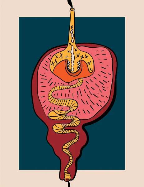 Ilustración Abstracta Con Una Representación Inusual Del Estómago Adecuado Para — Archivo Imágenes Vectoriales