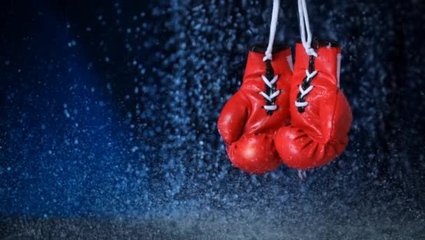 Červené Boxerské Rukavice Vodní Kapky Pozadí Sportovní Životní Styl Motivace — Stock video
