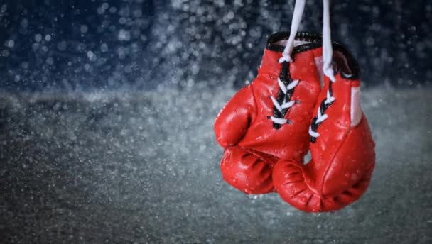 Rote Boxhandschuhe Auf Einem Wassertropfen Hintergrund Sportlicher Lebensstil Motivation Zielerreichung — Stockvideo