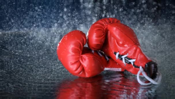 Rode Bokshandschoenen Een Waterdruppels Achtergrond Sport Levensstijl Motivatie Doelstelling Bereikt — Stockvideo