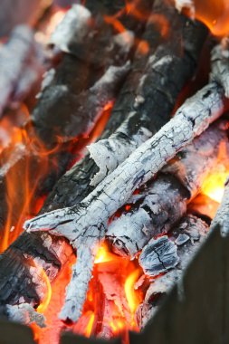 Piknikte kömürlü ateş. Et pişirmek için kömür hazırlıyorum. Açık hava aktiviteleri.