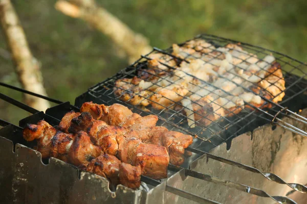 Grilled meat skewers. Barbecue fried on a grill. Cooking meat on the coals. Outdoor recreation. Summer bbq party.