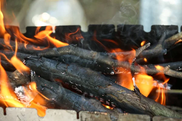 Ogień Węglem Pikniku Przygotowanie Węglanów Gotowania Mięsa Zajęcia Świeżym Powietrzu — Zdjęcie stockowe