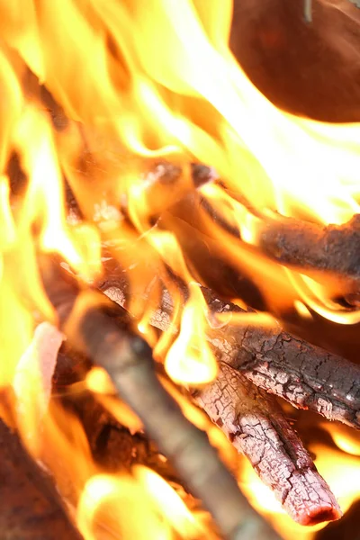 Oheň Uhlím Pikniku Příprava Uhlí Vaření Masa Venkovní Aktivity — Stock fotografie