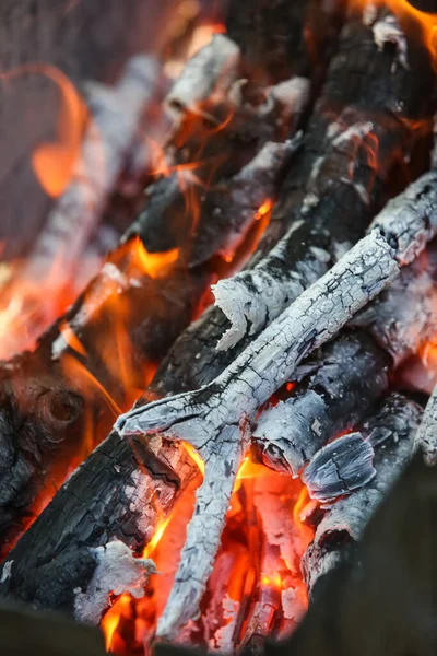 Ogień Węglem Pikniku Przygotowanie Węglanów Gotowania Mięsa Zajęcia Świeżym Powietrzu — Zdjęcie stockowe
