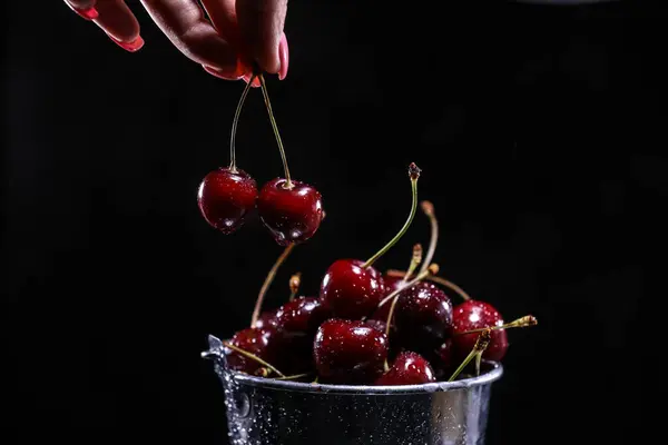 Mano Mujer Tomando Cerezas Rojas Dulces Cubo Metal Sobre Fondo —  Fotos de Stock