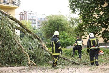 İtfaiyeciler ve polis memuru, fırtınadan sonra düşen bir ağacın arabalardaki etkilerini temizlemeye yardım ediyor..