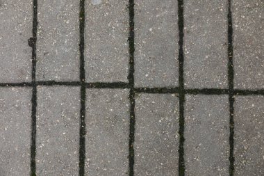 Kaya dokusu. Soyut taş duvar kağıdı.