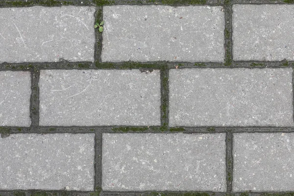Pavimento Textura Pedra Papel Parede Pedra Abstrato — Fotografia de Stock