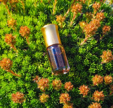 Doğal bir arka planda mini şişeler Arap Oud Attar parfüm veya Agarwood yağ kokuları.