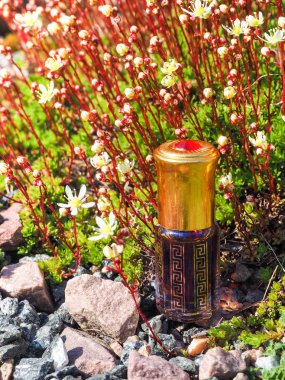 Agarwood ağacından eski yağ. Hint konsantre parfüm.