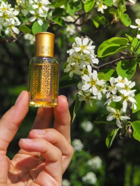 Amber yağı şişesi. Geleneksel Arap tütsü. Rahatlama ve mutluluk için doğal yağ.