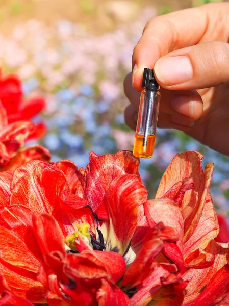 Duftende natürliche Öldüfte in einer Miniflasche. Aromatherapie. — Stockfoto