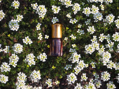 Doğal yağ gevşeme ve mutluluk için. Geleneksel Arapça tütsü. 