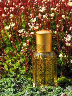 Doğal yağ gevşeme ve mutluluk için. Geleneksel Arapça tütsü. 