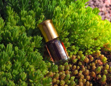 Doğal yağ gevşeme ve mutluluk için. Geleneksel Arapça tütsü