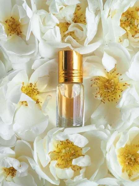 Mini bir şişe yağda krem gül arka plan üzerinde yükseldi.