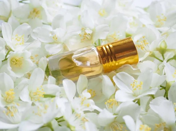 Индийская нефть Жасмин Аттар. Натуральное растительное масло жасмина для расслабления и блаженства . — стоковое фото